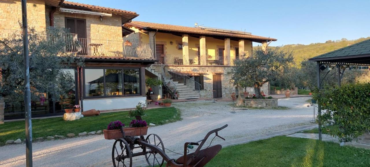Agriturismo La Rocca Assisi