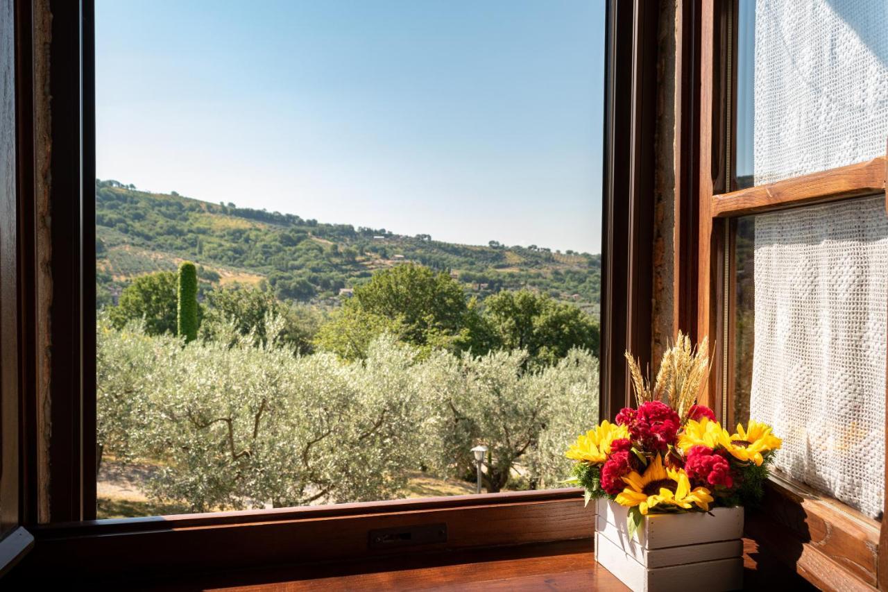 Agriturismo La Rocca Assisi * Petrignano