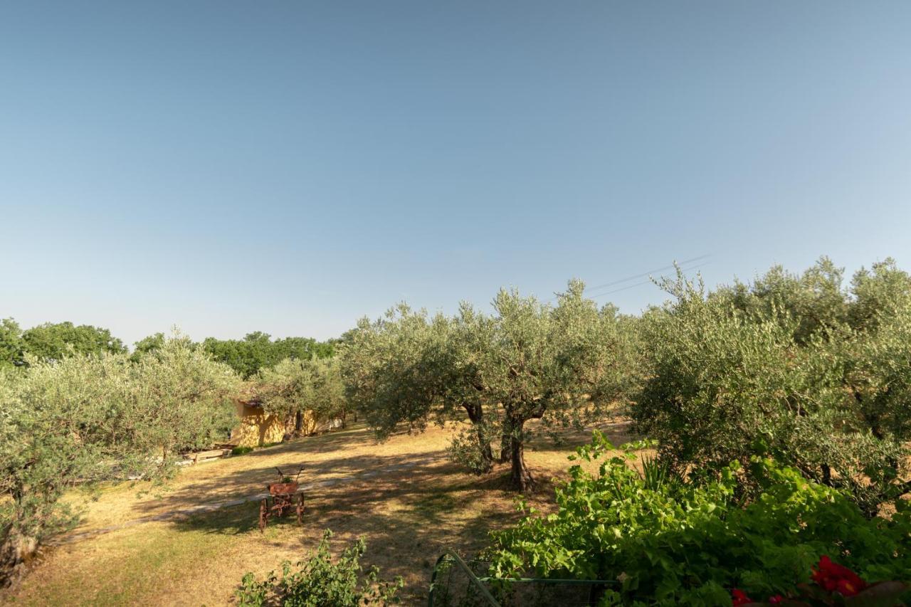 Agriturismo La Rocca Assisi * Petrignano