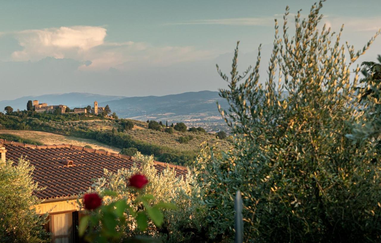 Agriturismo La Rocca Assisi Petrignano
