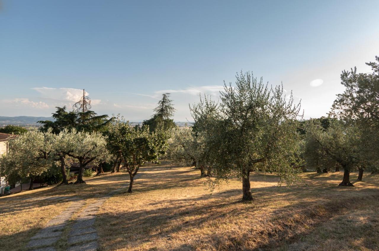 Bauernhof Agriturismo La Rocca Assisi Petrignano