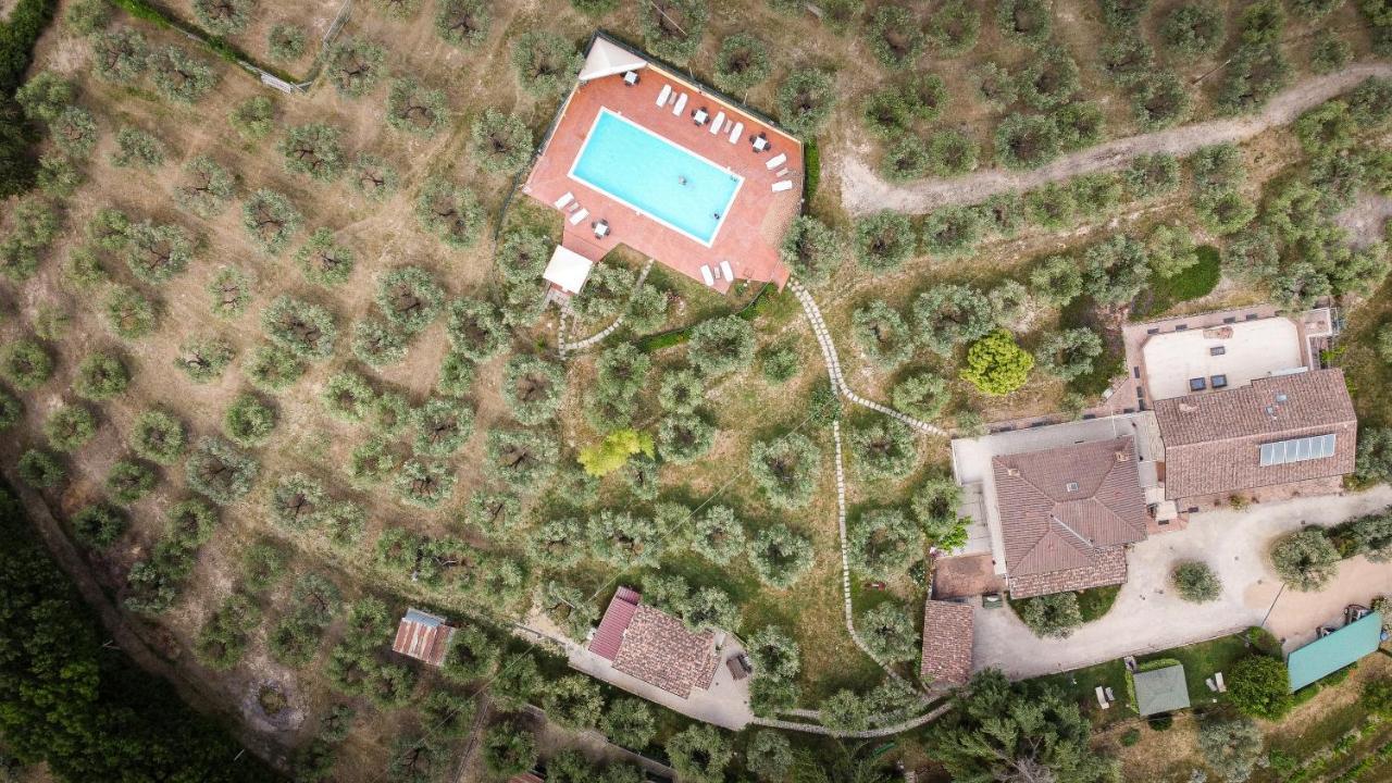 Agriturismo La Rocca Assisi * Petrignano