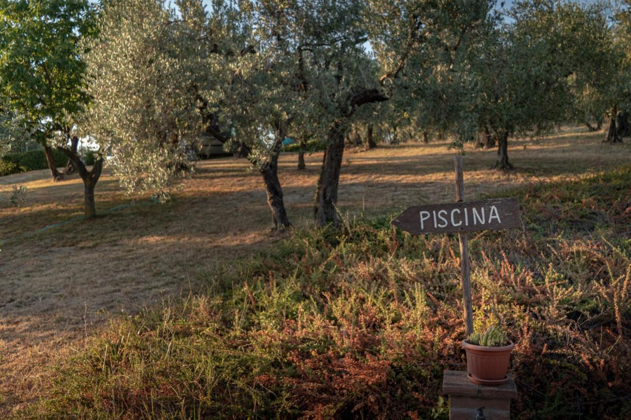 Bauernhof Agriturismo La Rocca Assisi